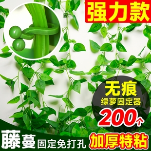 绿萝爬上墙神器爬藤植物固定器家用强力挂钩不伤墙定型无痕免打孔