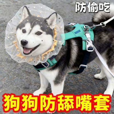 防偷吃乱吃网纱狗狗头套