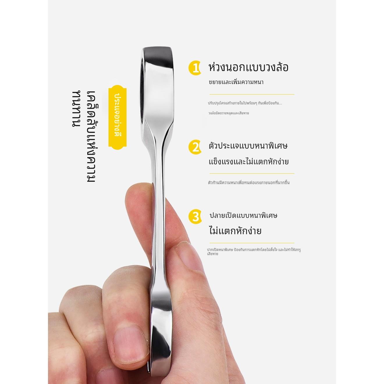 德国进口快速棘轮扳手工具套装省力梅花开口两用汽车维修13快板组