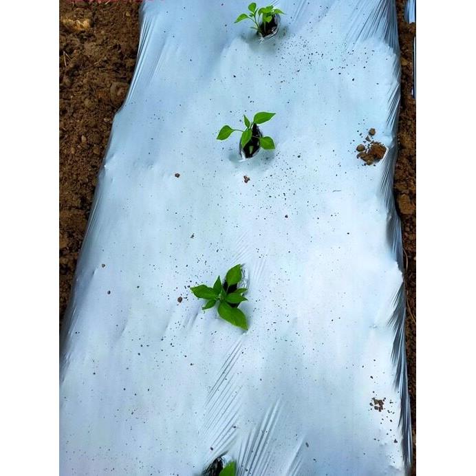 农用塑料薄膜银灰膜双色膜银黑膜反光除草增色草莓地膜大棚农膜