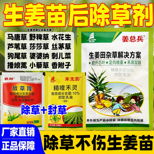生姜田苗后专用除草剂烂根不伤苗