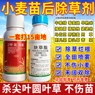 小麦苗后除草专用济炔草酯2甲氯双氟禾阔双除节节草野燕麦除草剂
