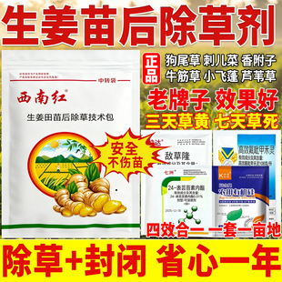 西南红生姜地除草专用剂敌草隆精喹禾灵仔姜大姜田苗后除草专用药