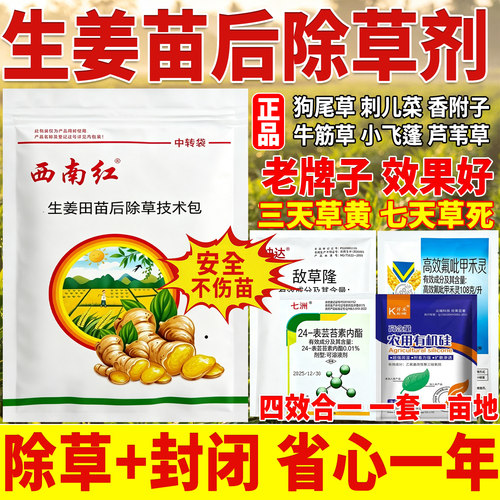 西南红生姜地除草专用剂敌草隆精喹禾灵仔姜大姜田苗后除草专用药