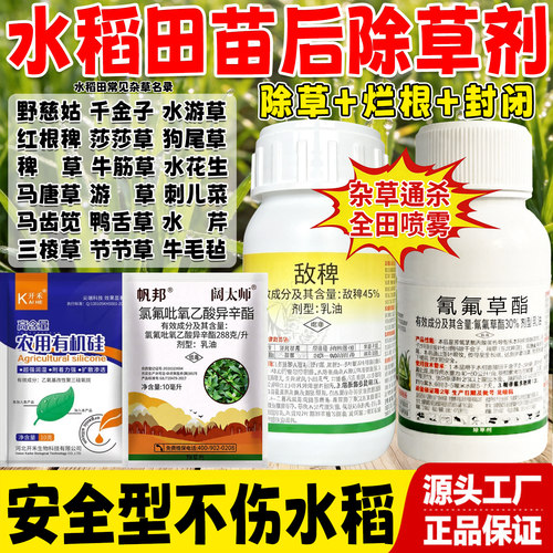 水稻田除草专用剂稗草千金子都除