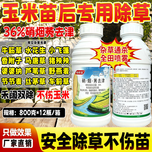 哈侬宝36% 硝烟莠去津玉米地苗后专用除草剂除草封草包谷田除杂草