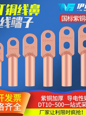 双孔端子铜鼻子DT70接线端子小头铜接头DT16/2P5/120平方线耳鼻子