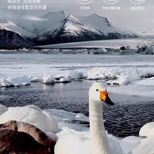 【鹅绒】婴幼儿羽绒服连体衣2024冬季新款男女小宝宝外穿加厚爬服