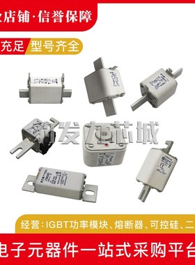 170M1558 1559 1560 1561 1562 1563 1564 1565 1566 1567熔断器