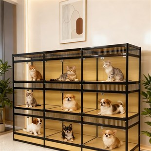 宠物店宠物展示柜狗笼猫笼多层透明玻璃展示柜猫咪寄养柜移动展柜