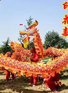 舞龙道具整套耍龙灯牛津烫金龙国标龙舞龙舞狮服装龙头防锈九节龙
