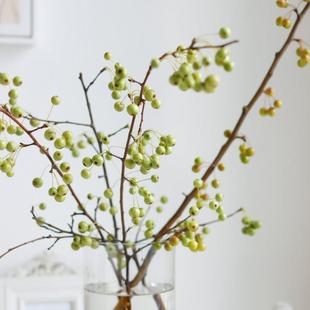 绿色棠梨果鲜花云南直发室内水培绿植新鲜插花水果鲜切枝条海棠果