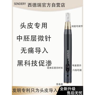 Sideren头皮可充电纳米穿透男孩和女孩头发微针中胚层介绍电微晶