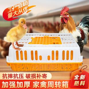 塑料家禽周转箱筐鸡笼运输笼成鸡鸭鹅鸽子笼子兔笼养殖笼家用大号