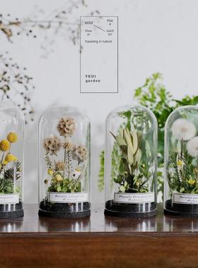 植物永恒的礼物花园斯堪的纳维亚干花家玻璃盖标本展示珠宝研究装