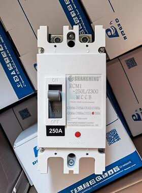 上海人民2P塑料外壳断路器c01 - 125a160a250a单相空气开关220V大