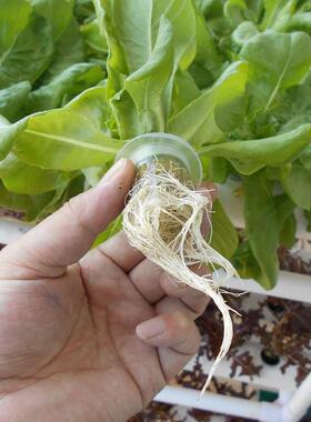 厂家管道式土栽培设备庭家阳种植蔬菜草莓水培水耕无多层台108k种