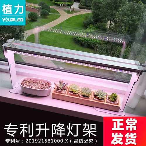 OD59植力 LED全光谱多肉补光灯防徒长上色植物生长光合作用家