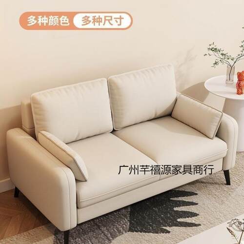 小户型沙发简约现代轻奢感小沙发家用客厅卧室出租房服装店
