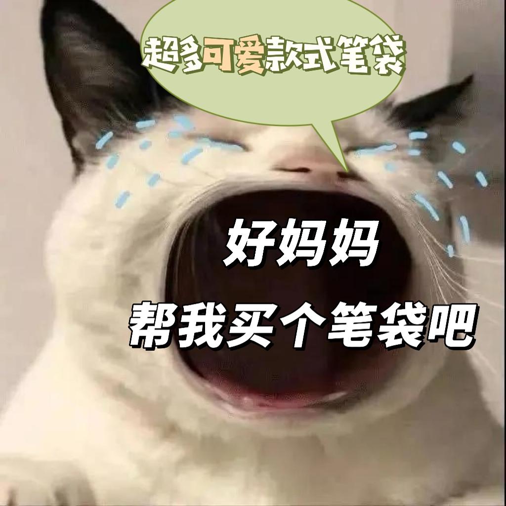 2025年新款ins风高颜值笔袋合集可爱少女心学生小众大容量文具袋