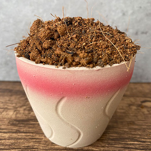 平安树专用土平安树土盆栽营养土家用酸性沙质土壤绿植种植土肥料