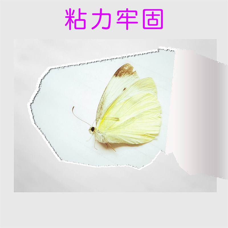 鸿泰液体胶2.5L大桶装透明胶水制作水晶泥手工课做史莱姆专用胶水
