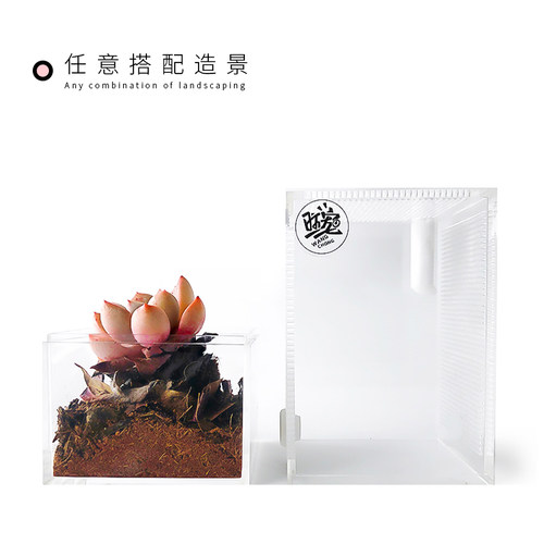 兰花螳螂饲养盒树栖爬虫专用通风透气透明半生态雨林宠物景观高款