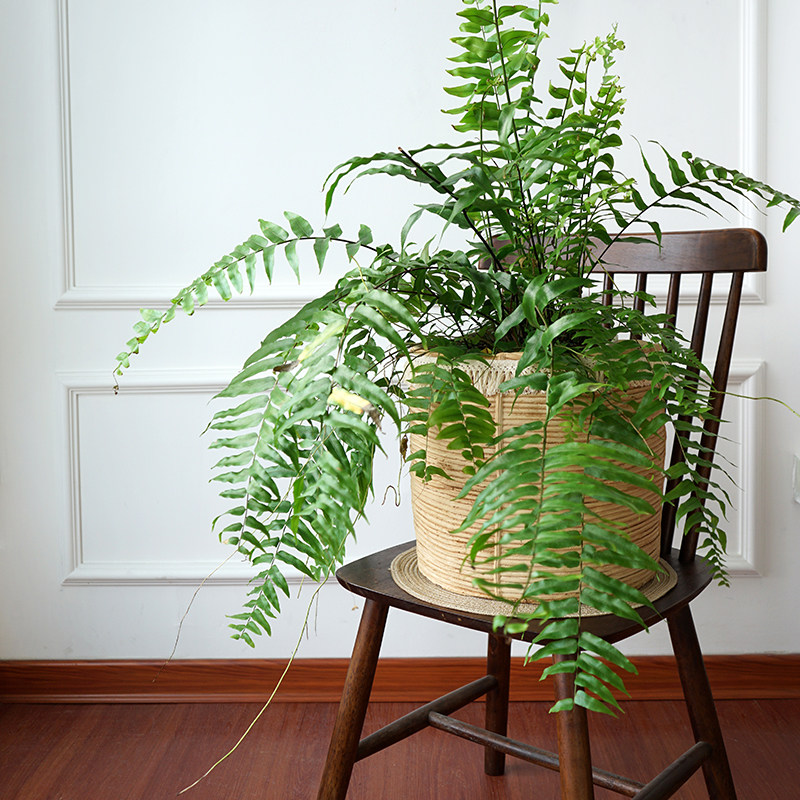 客厅落地北欧编织水泥花盆大号田园仿藤编创意个性盆栽带流苏套盆