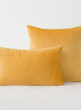 橙黄色抱枕靠枕沙发客厅大靠背靠垫高级感方形单独抱枕套子不含芯