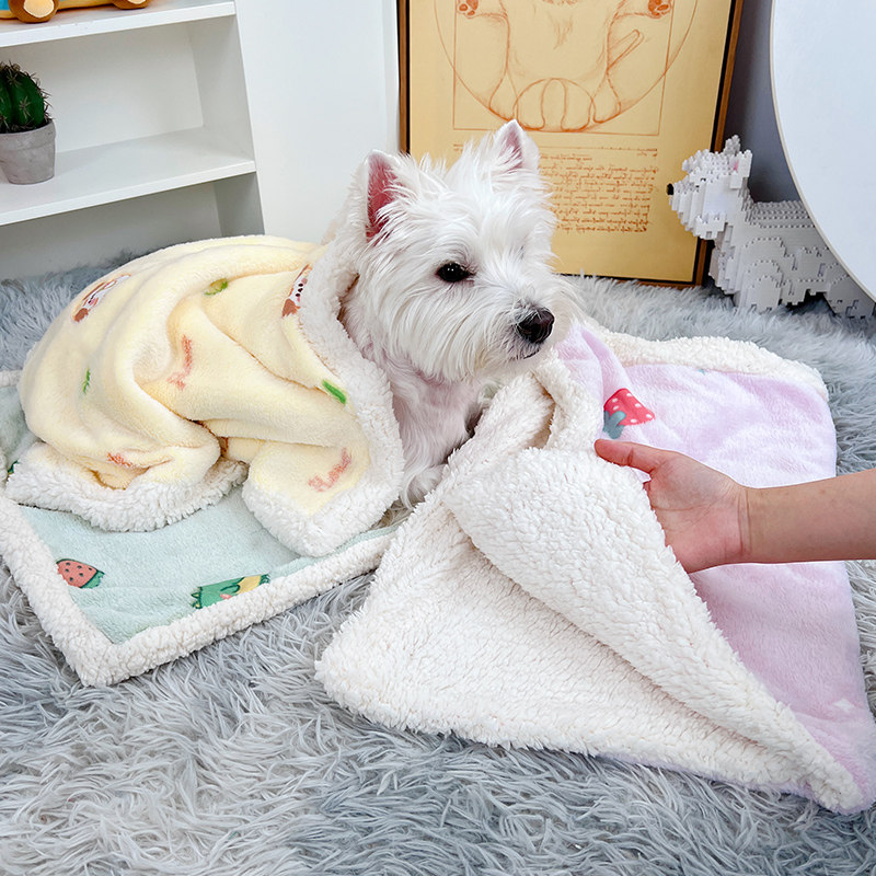 狗垫子秋冬保暖睡觉用毛毯被子猫毯子冬季狗狗冬天窝垫宠物床垫兔,宠物/宠物食品及用品,猫狗垫子,淘宝优惠券,粉丝福利购,淘宝优惠卷
