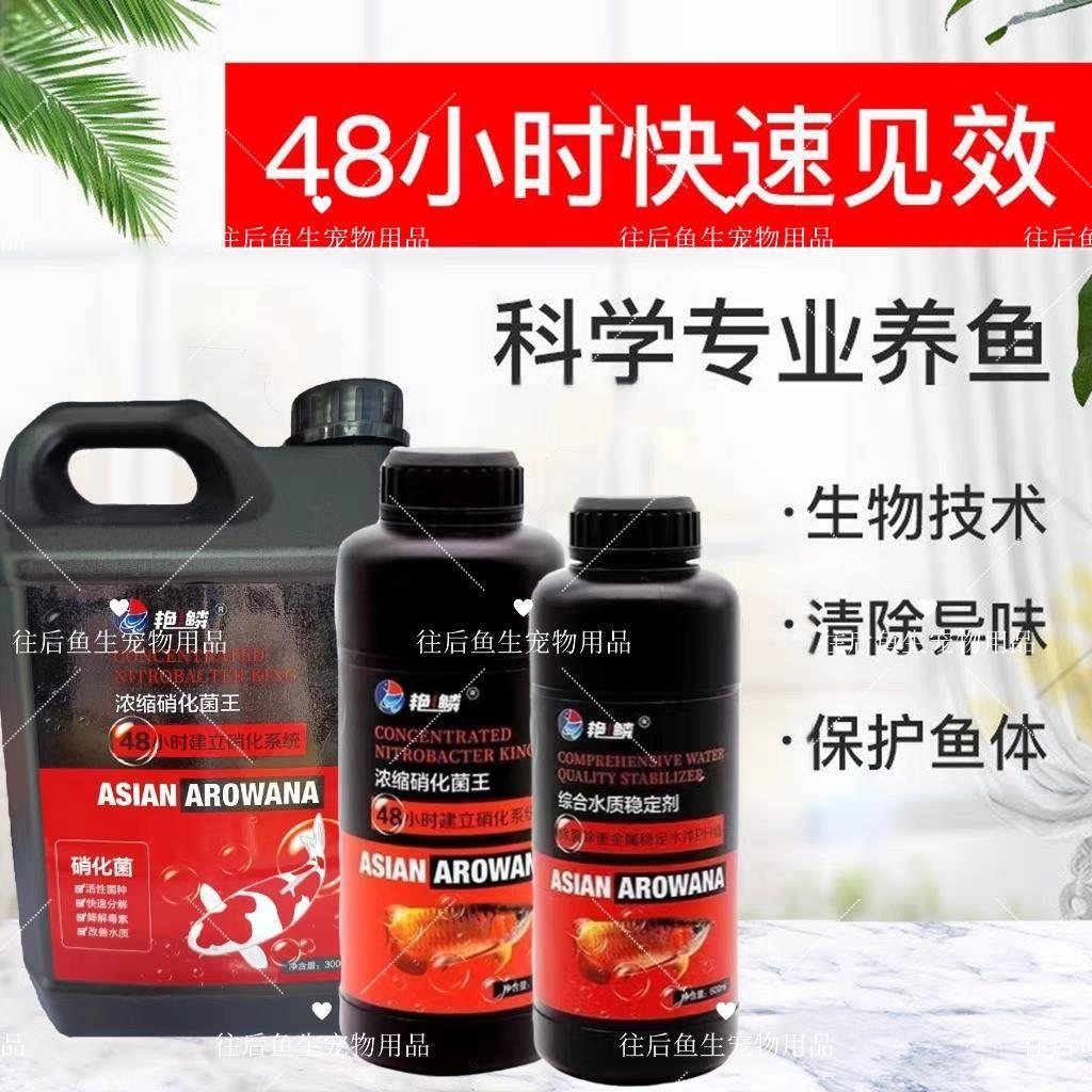 艳鳞硝化细菌王超浓缩鱼缸水质稳定剂高活性益生菌净化水质空气缸