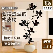 黑金刚橡皮树客厅盆栽办公室内造型落地大型真绿植四季好养活植物
