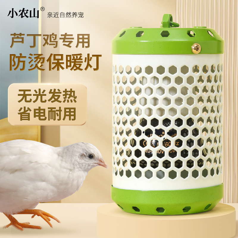 热销芦丁鸡保温灯饲养箱温控器卢丁鸡保暖取暖灯育雏灯泡小鸡设备