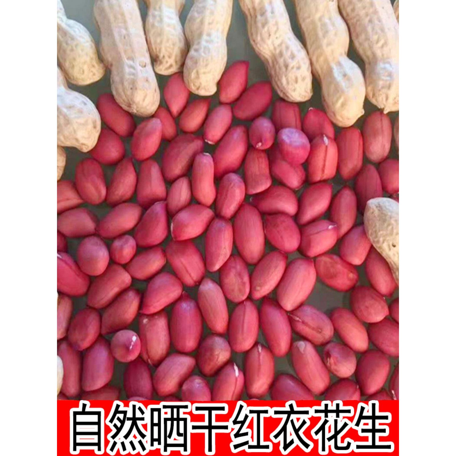 红皮花生米生新货2025年山东红衣带壳红粒晒干种子新鲜红皮花生