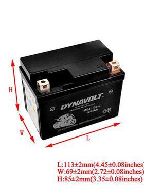 升仕ZT310-TXRV摩 托车老款电瓶12V4A胶体电池配件替代原车锂电瓶