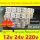 工程款 12v24v220v高亮双排5050户外防水七彩RGB变色led软灯带光带