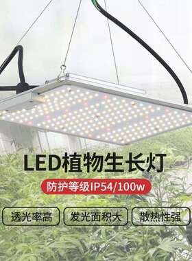 led植物灯工业大棚量子板植物生长灯100wLED植物补光灯