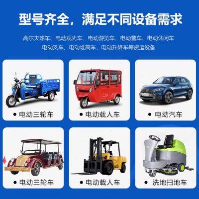天能蓄电池3-EVF-200/220电瓶适配洗地机叉车环卫车小火车6V200AH
