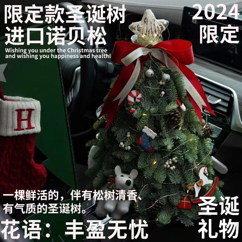 【成品现货】半夏森林进口诺贝松圣诞树装饰摆件真树2025圣诞节礼