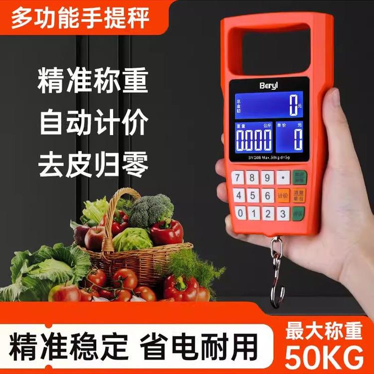 计价电子手提秤50公斤高精度家用小型迷你智能便携式钓鱼弹簧磅秤