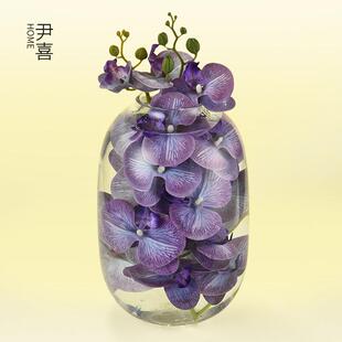 艺术感质感玻璃瓶花瓶器皿高透高级大肚瓶蝴蝶兰【宋氏广纳瓶】