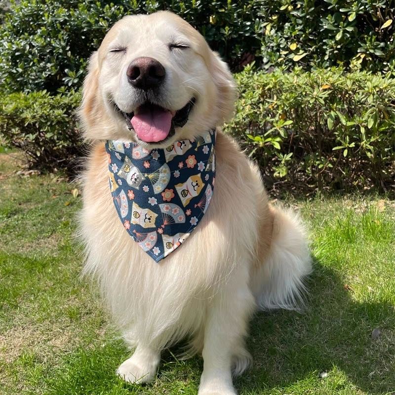 宠物三角围巾口水萨摩印花围脖金毛大型犬柴犬狗狗萨摩耶大狗围兜
