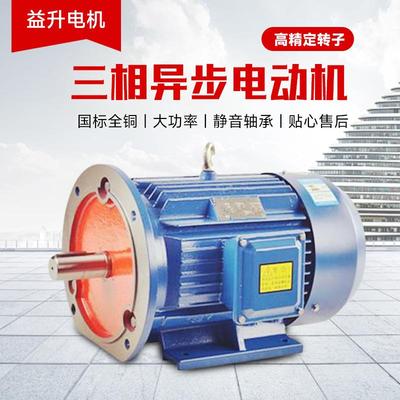 三相电机YE2-4极0.55--355千瓦三相电机380V电机马达三相异步电机