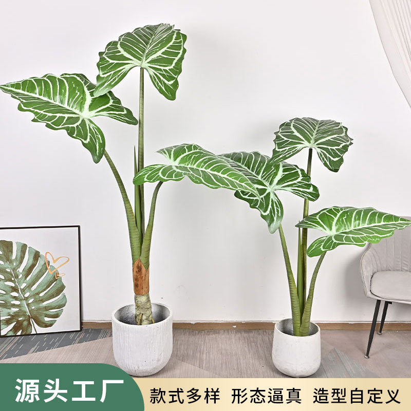 仿真绿植大叶帝王花烛卧室客厅橱窗大型落地盆栽装饰摆件假植物图片