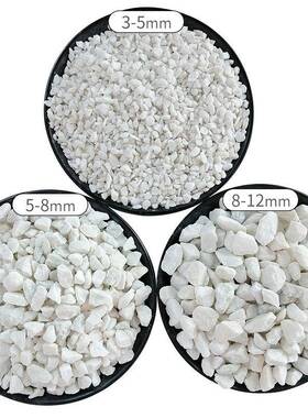 白色水磨石子日式枯山水白石子白色砾石园林造景用白石米