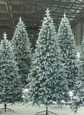 圣诞节装饰加密圣诞树少雪高档白色PE植绒大型仿真树雪花雪景布置