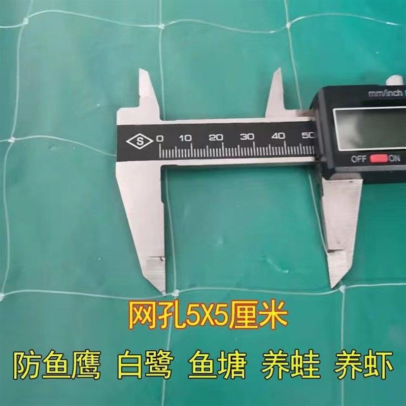 5厘米网眼池塘专用防鸟网大鸟大孔尼龙养殖牛蛙龙虾白鹭鱼塘天网,农机/农具/农膜,农用防鸟网,淘宝优惠券,粉丝福利购,淘宝优惠卷
