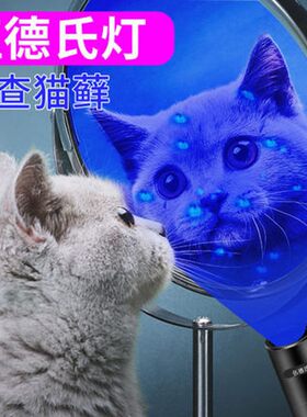 伍德氏灯照猫藓宠物猫尿检测手电筒紫外线荧光剂紫光家用验钞