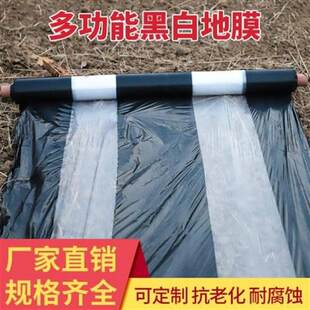 高端地膜黑白色h塑料膜防果防虫保温保湿防虫草园蔬菜瓜果大棚奢