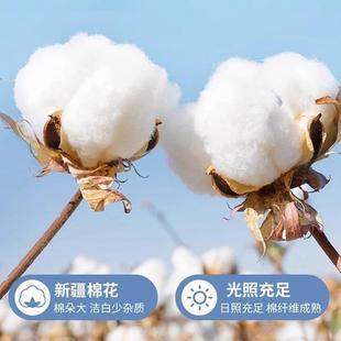 纯棉被套2单件2025新0款 全棉100被罩单人1PZQ5x单200x0被独